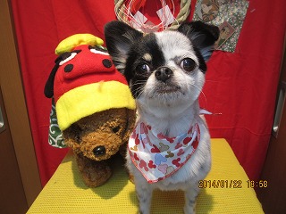 ファイル 6960-2.jpg