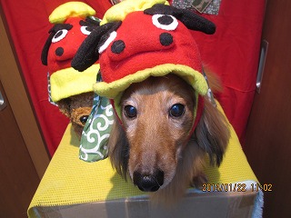 ファイル 6961-1.jpg