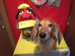 ファイル 6961-2.jpg