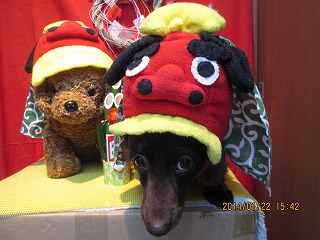 ファイル 6962-1.jpg