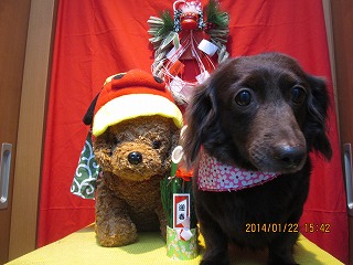 ファイル 6962-2.jpg