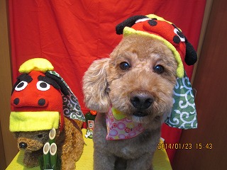 ファイル 6963-1.jpg