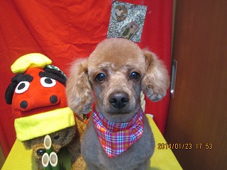 ファイル 6964-2.jpg