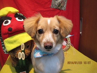 ファイル 6965-2.jpg