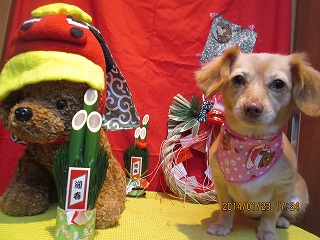 ファイル 6966-2.jpg