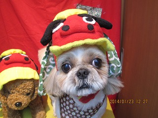 ファイル 6967-1.jpg