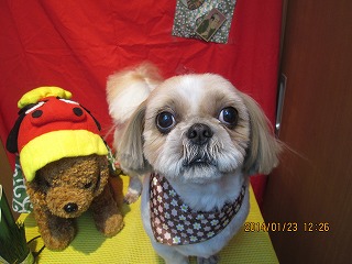 ファイル 6967-2.jpg