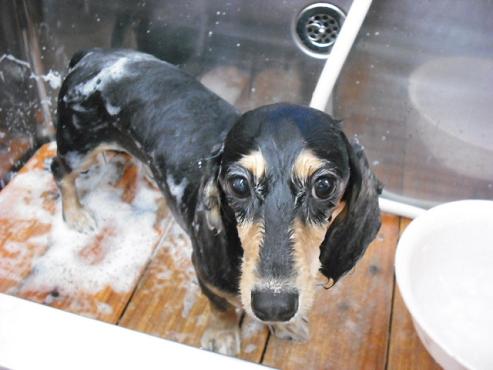 ファイル 697-2.jpg