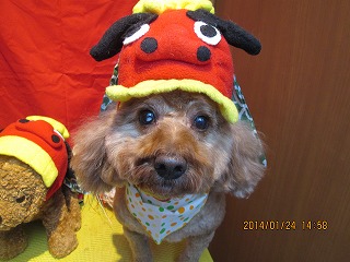 ファイル 6970-1.jpg