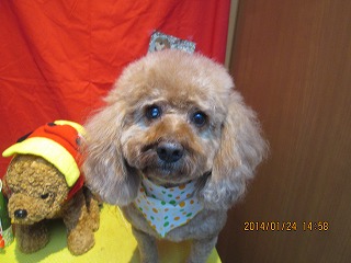 ファイル 6970-2.jpg