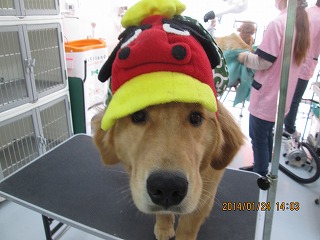 ファイル 6972-1.jpg