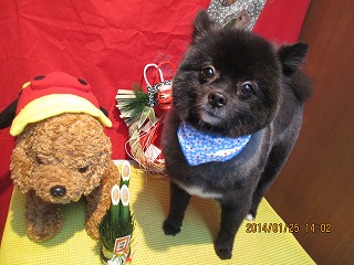 ファイル 6975-1.jpg