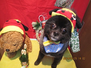 ファイル 6975-2.jpg