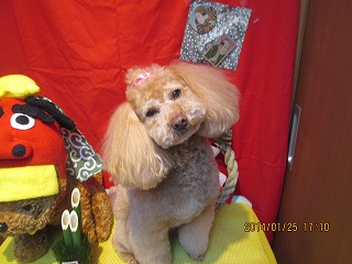 ファイル 6977-2.jpg