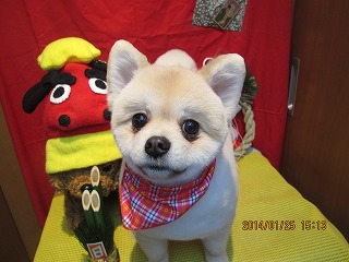 ファイル 6978-2.jpg