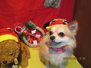 ファイル 6979-1.jpg