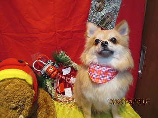 ファイル 6979-2.jpg