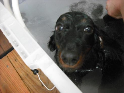 ファイル 698-2.jpg