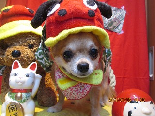 ファイル 6980-1.jpg