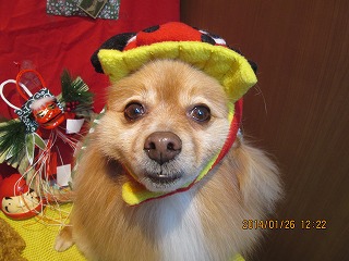 ファイル 6983-1.jpg