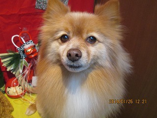 ファイル 6983-2.jpg