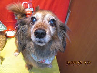 ファイル 6984-2.jpg