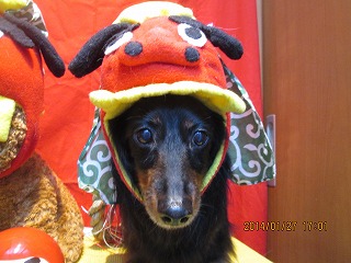 ファイル 6985-1.jpg