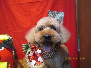 ファイル 6986-2.jpg