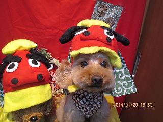 ファイル 6987-1.jpg