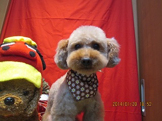 ファイル 6987-2.jpg