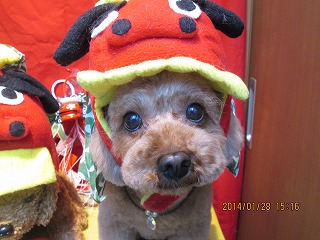 ファイル 6988-1.jpg