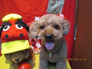 ファイル 6988-2.jpg