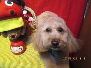 ファイル 6989-1.jpg