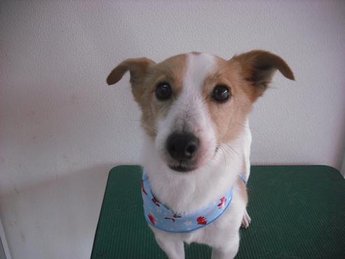 ファイル 699-1.jpg