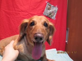 ファイル 6990-2.jpg