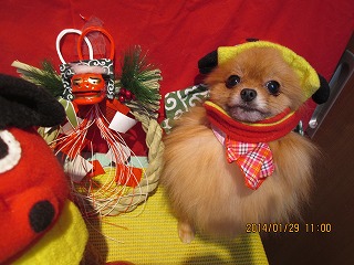 ファイル 6991-1.jpg