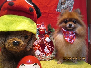 ファイル 6991-2.jpg