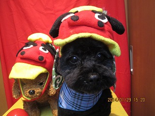 ファイル 6992-1.jpg