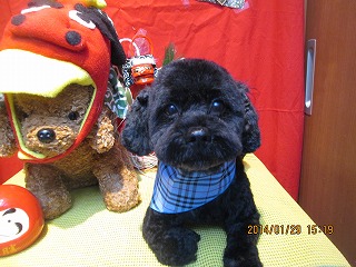 ファイル 6992-2.jpg