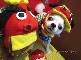 ファイル 6993-1.jpg