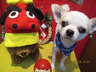 ファイル 6993-2.jpg