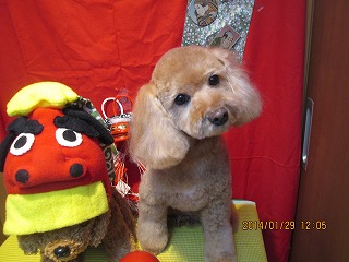 ファイル 6995-2.jpg