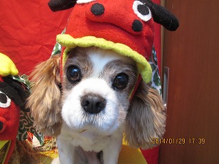 ファイル 6996-1.jpg