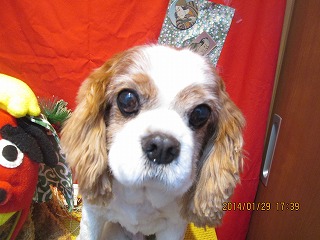 ファイル 6996-2.jpg