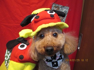 ファイル 6997-1.jpg