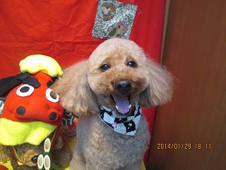 ファイル 6997-2.jpg