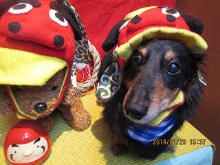 ファイル 6998-1.jpg