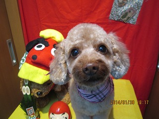 ファイル 6999-2.jpg