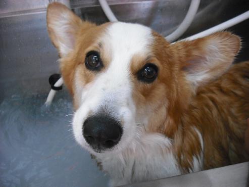 ファイル 7-2.jpg