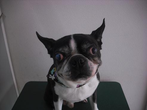 ファイル 70-1.jpg